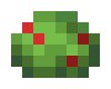 Unused Bush Red