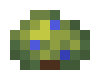 Unused Bush Blue