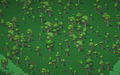 Thumbnail for version as of 05:09, 31 July 2025