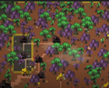 Thumbnail for version as of 08:35, 4 August 2025