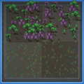 Thumbnail for version as of 02:42, 4 August 2025