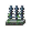 Thumbnail for version as of 08:32, 4 August 2025