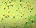 Thumbnail for version as of 07:48, 31 July 2025