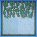 Thumbnail for version as of 05:16, 31 July 2025