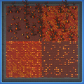 Thumbnail for version as of 07:47, 31 July 2025